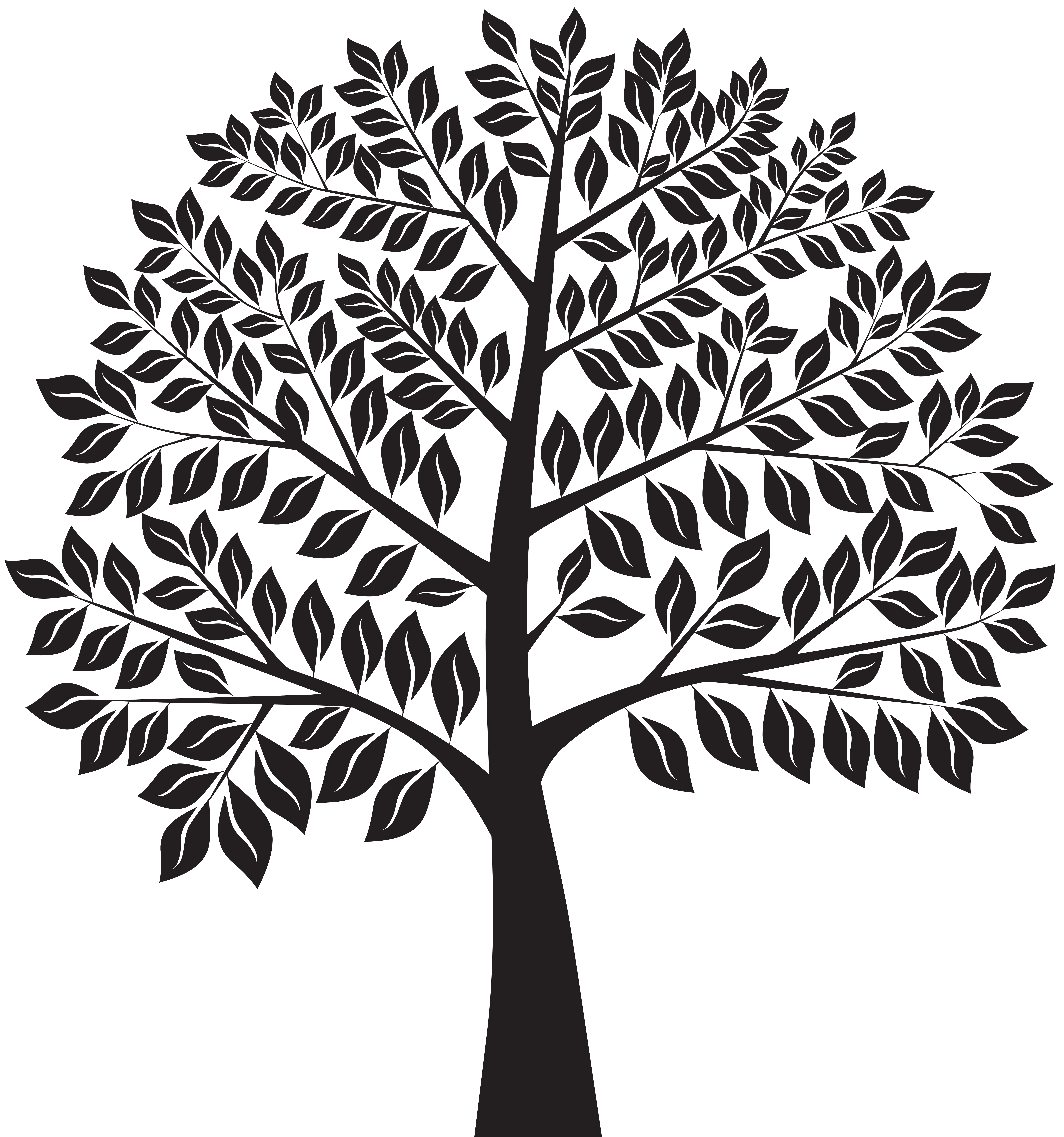 Tree silhouette png.
