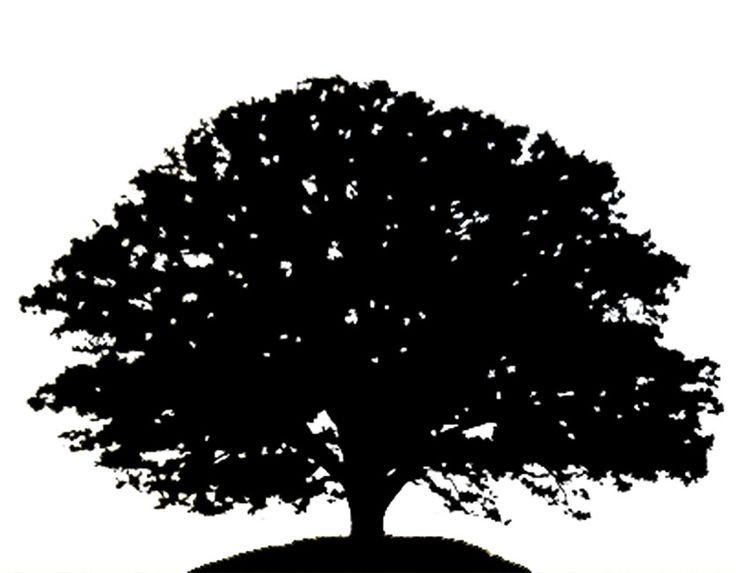 Free Oak Tree Silhouette, Download Free Clip Art, Free Clip