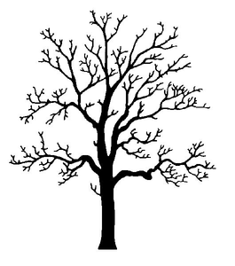 Clipart oak tree.