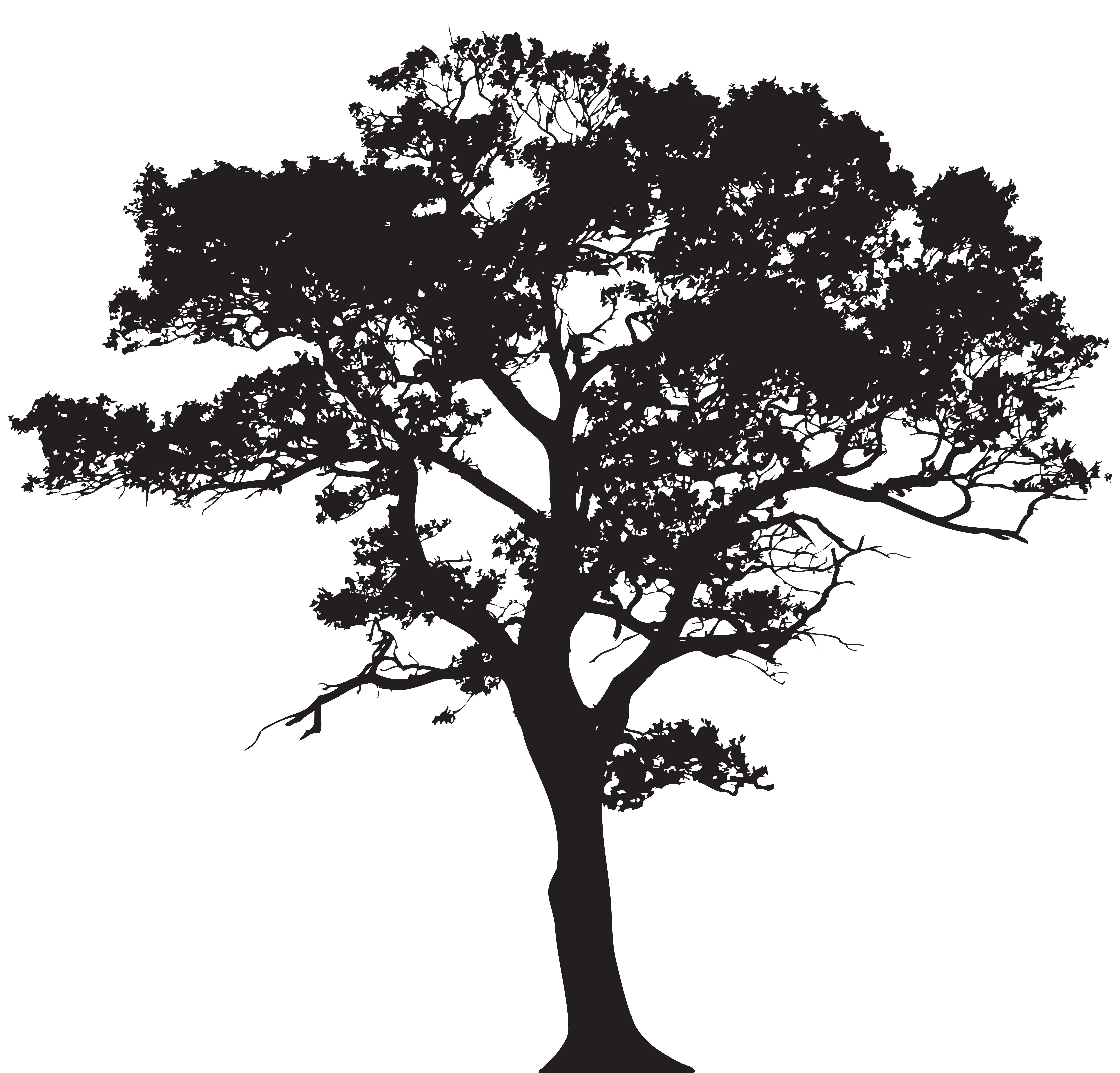 Tree silhouette clip.