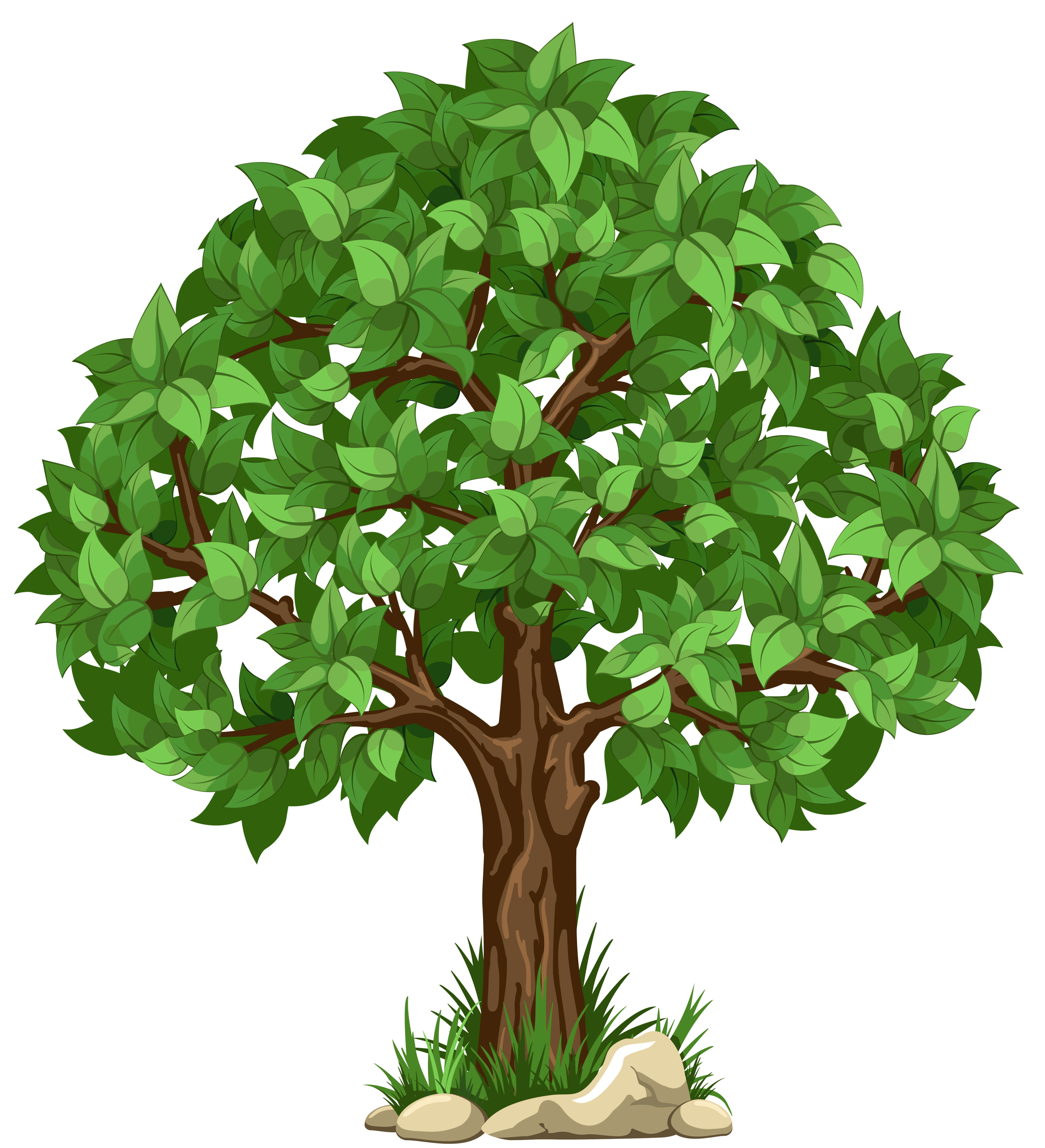 Transparent Tree PNG Clipart Picture