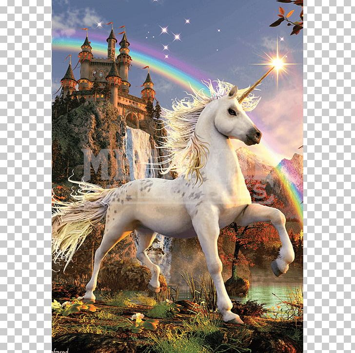 Unicorn Legendary Creature Pegasus Horse Mythology PNG