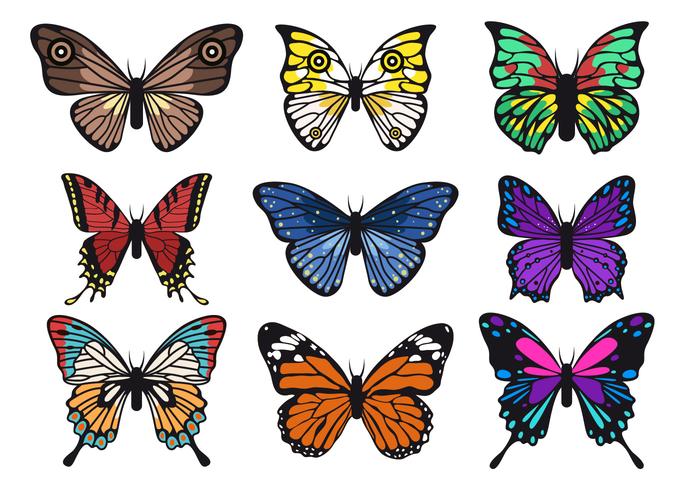 Beautiful butterfly vector.