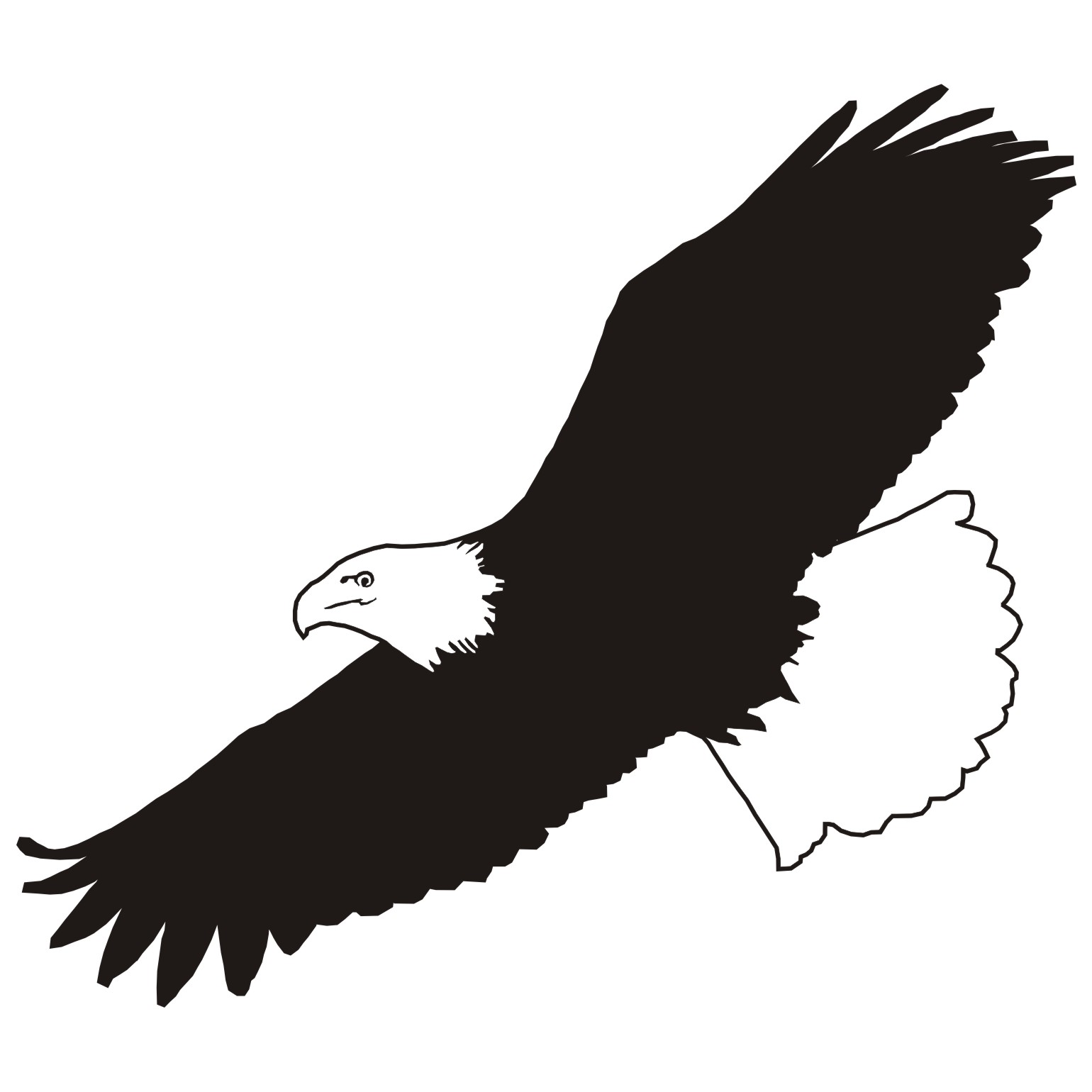 Free Eagle Vector Image, Download Free Clip Art, Free Clip