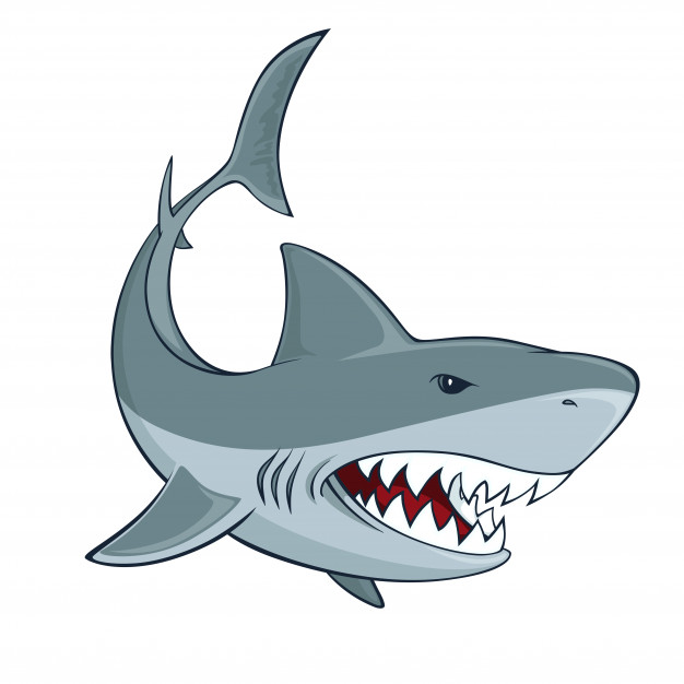 Shark sign vector.