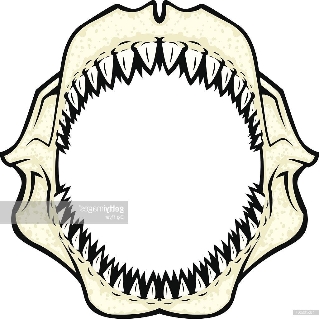 Best Shark Jaws Clip Art Design