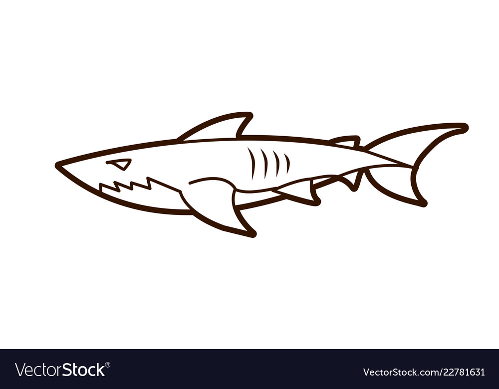 Shark swim graphic