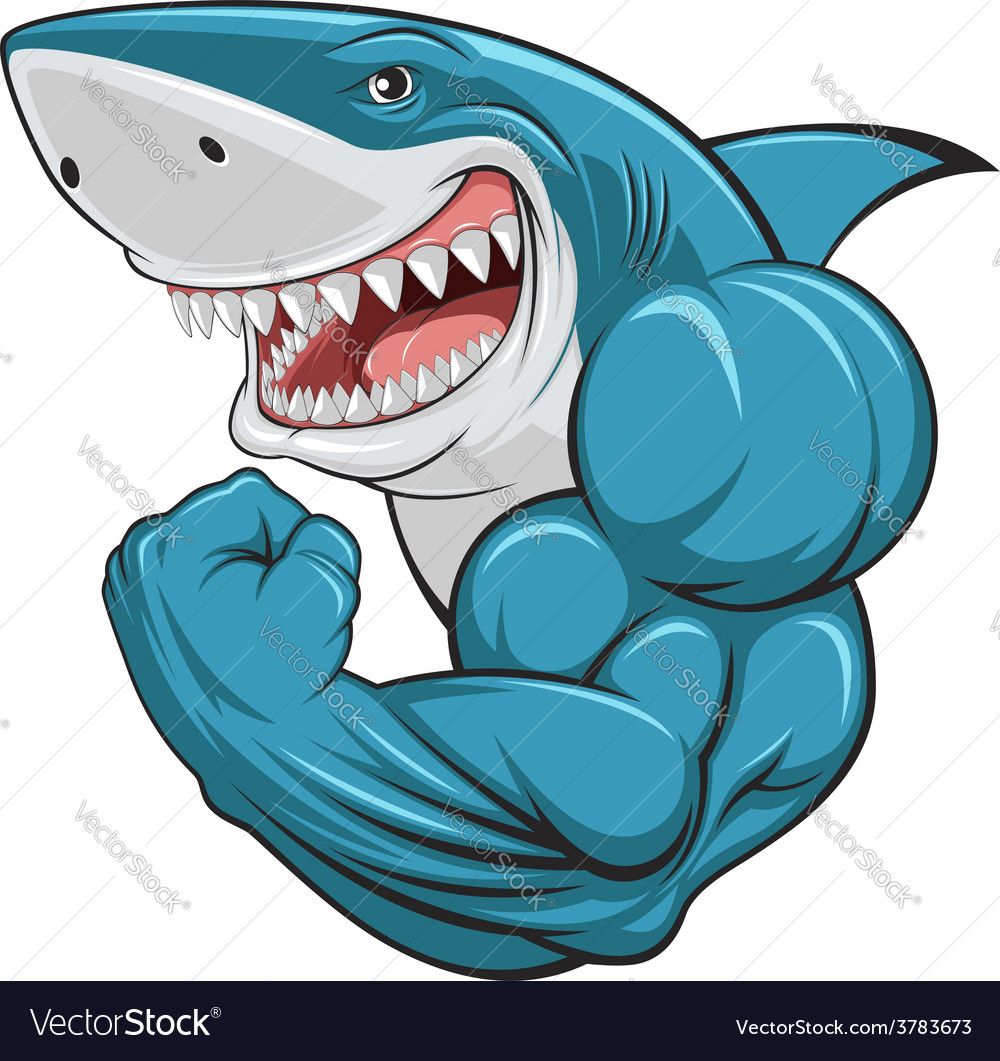 White shark Vector Image by Andrey