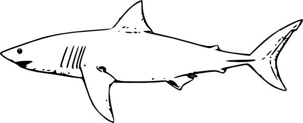 White Shark clip art Free vector in Open office drawing svg