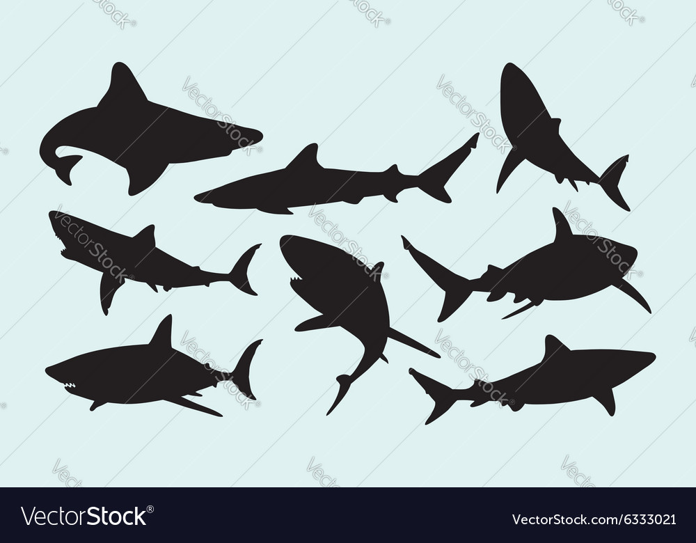 free vector clipart shark no sign up silhouette