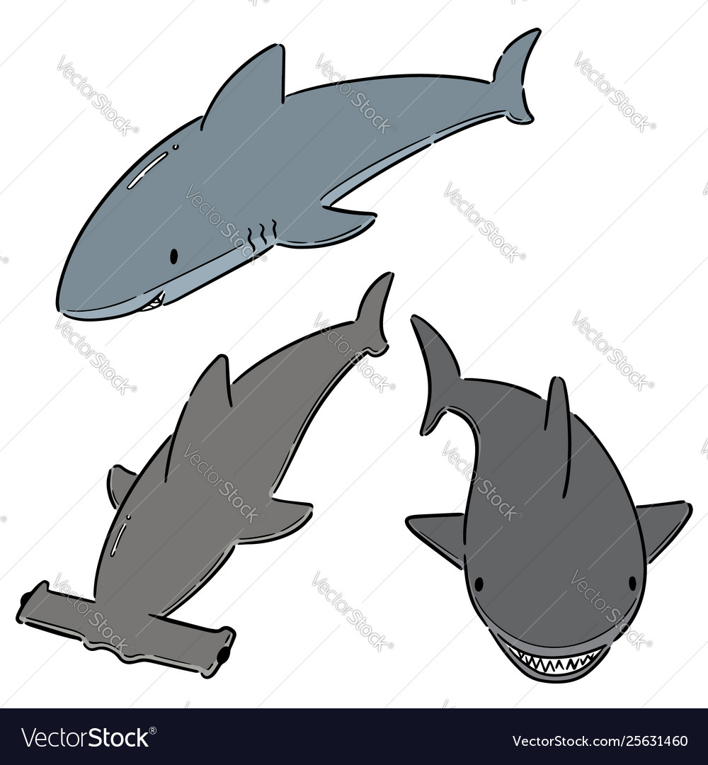 Set sharks.