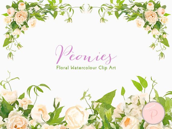 Watercolor Ivory Florals, Wedding Floral Clip art