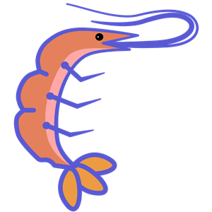 Shrimp clipart, cliparts of shrimp free download