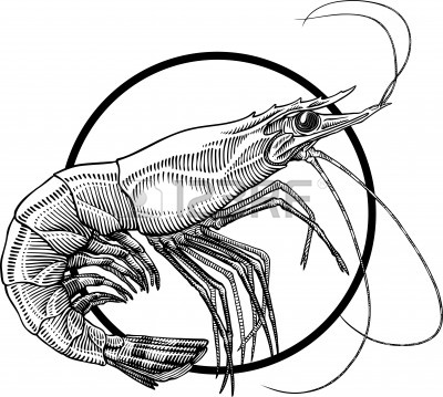 Shrimp clipart of shrimp free download wmf image