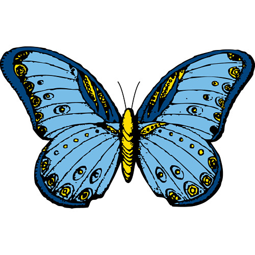 Free butterfly graphics.