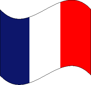 85 french flag.