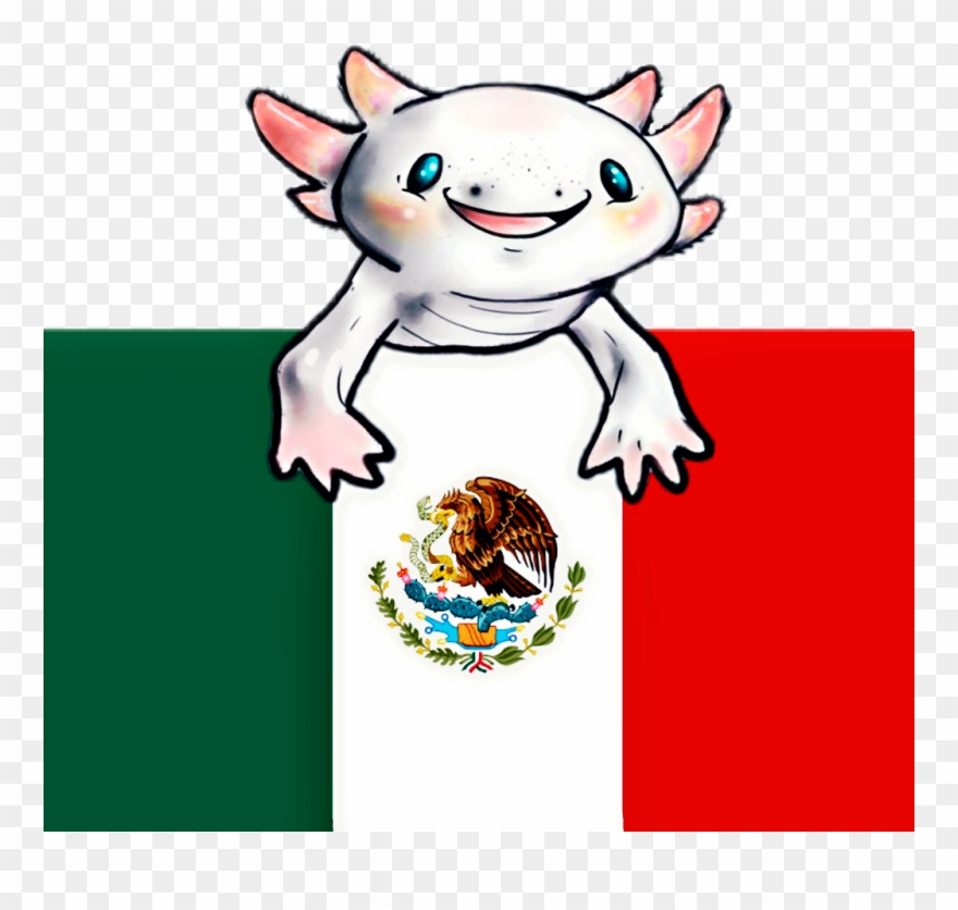 Flag bandera mexico.