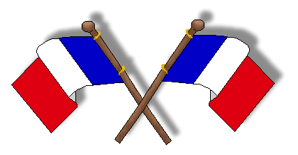 Free french flag.