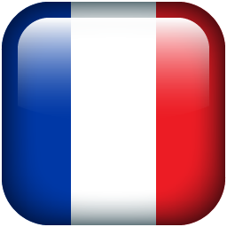 French flag icon.