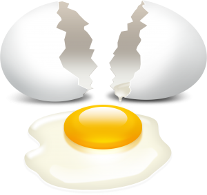 Egg whiteeggegg yolkeggclip.