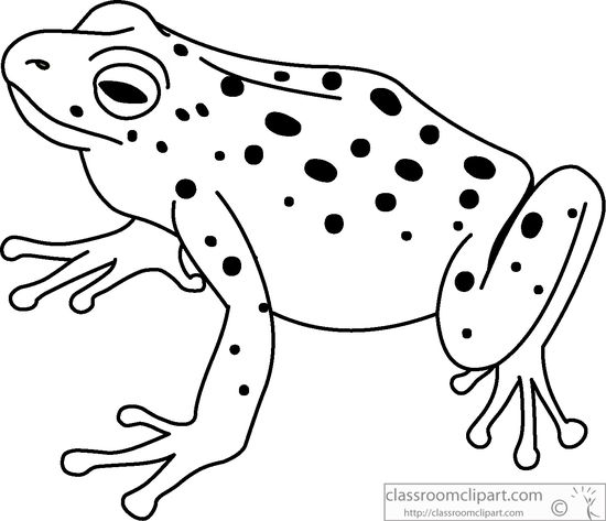 Download Free png Frog Clipart Black And White