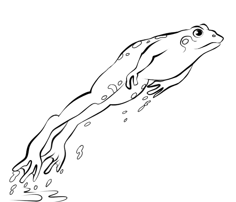 Jumping frog clipart.
