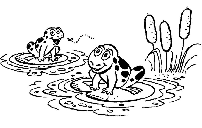 Frog black and white frog pond clipart black and white