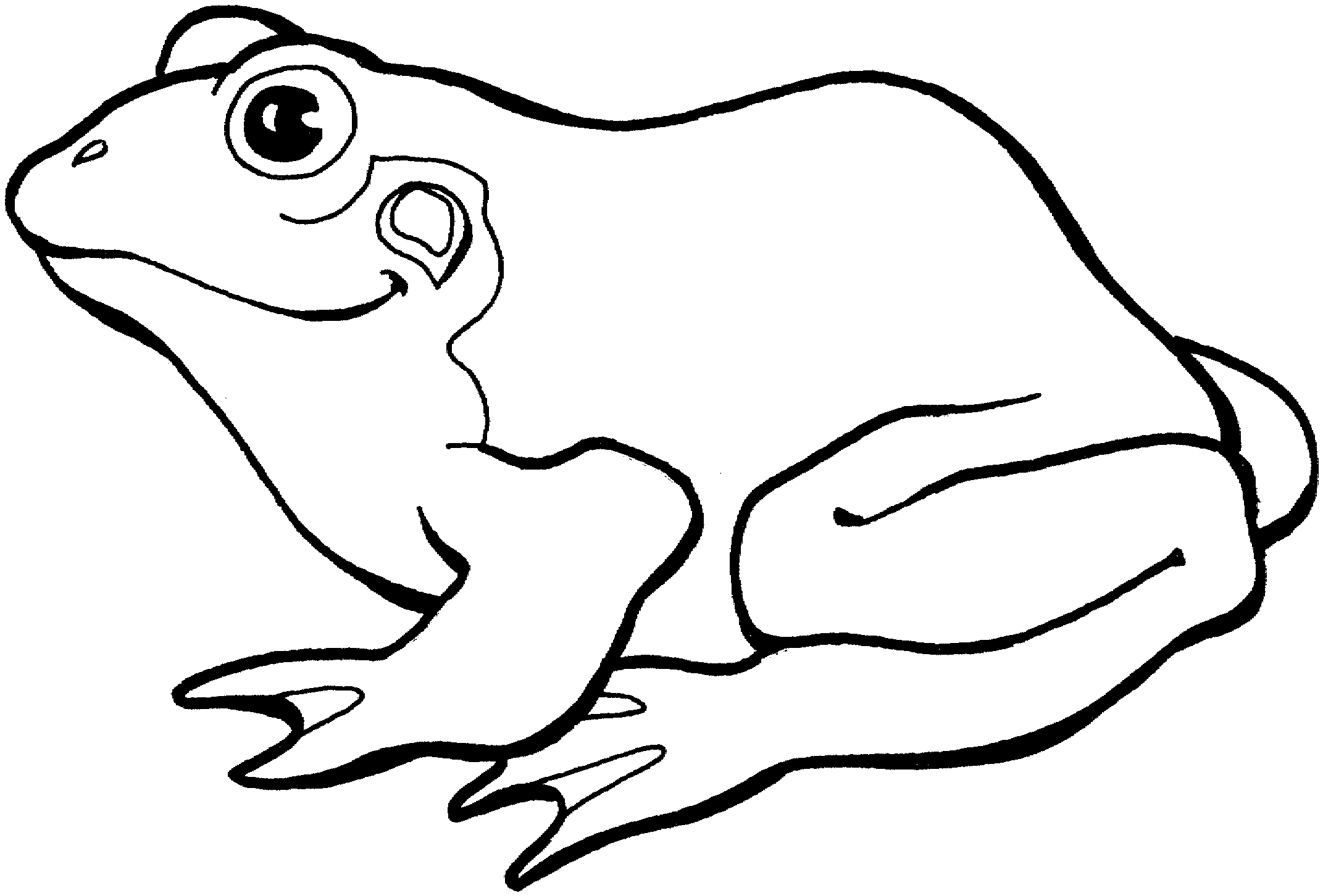 Frog black and white frog clipart black and white
