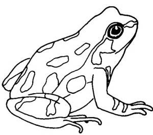 Cute Frog Clip Art Black And White