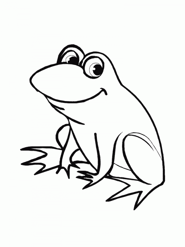 Free image frog.