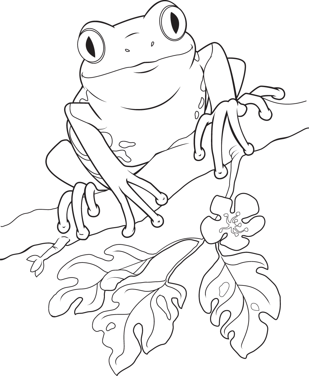 Frog black and white tree frog clipart black and white