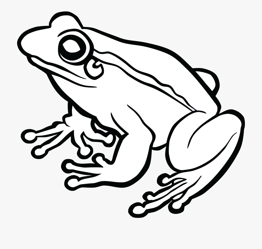 Tree Frog Png Black And White Transparent Tree Frog