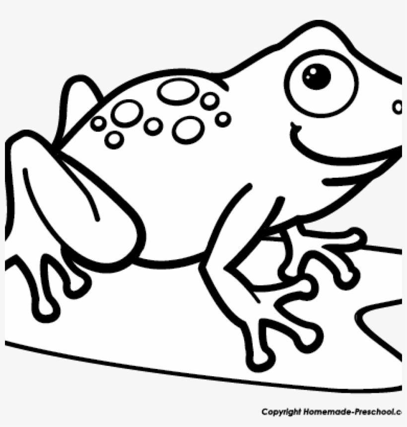 Black And White Frog Clipart