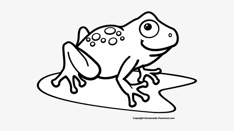 Image Freeuse Tree Frog Png Black And White Transparent