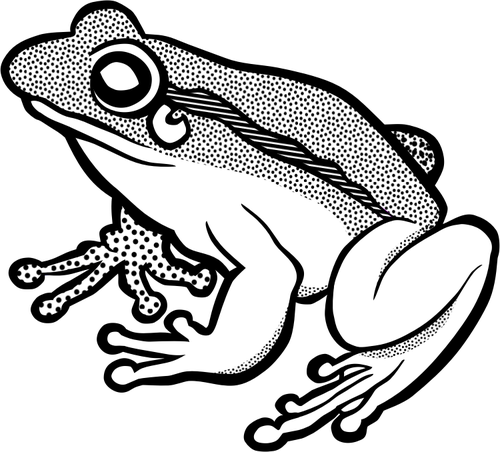 Frog black and.