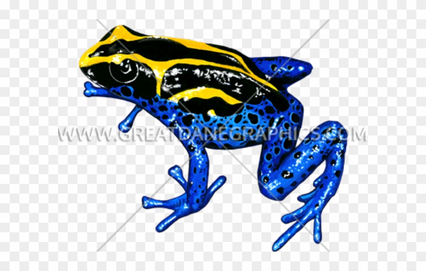 Poison Dart Frog Clipart Dot