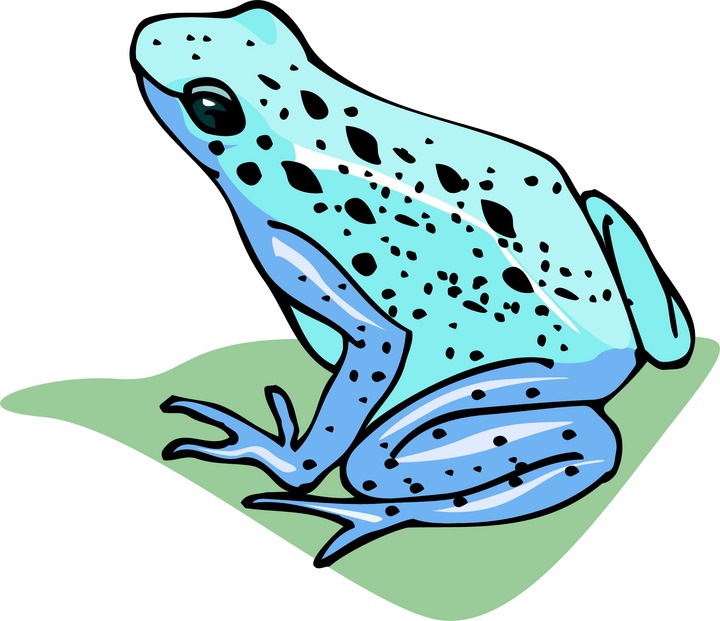 Blue frog clipart.