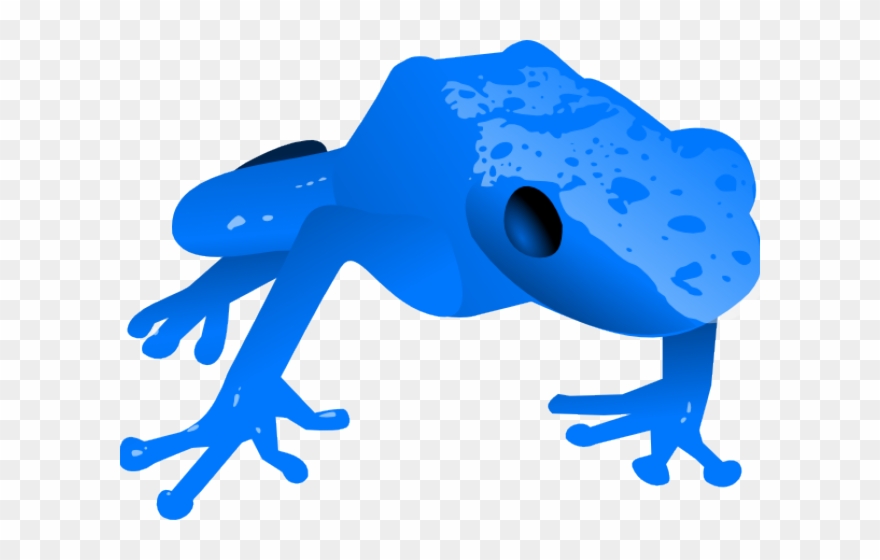Poison Dart Frog Clipart Yellow Frog