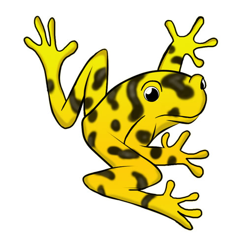 Free frog clip art drawings and colorful images