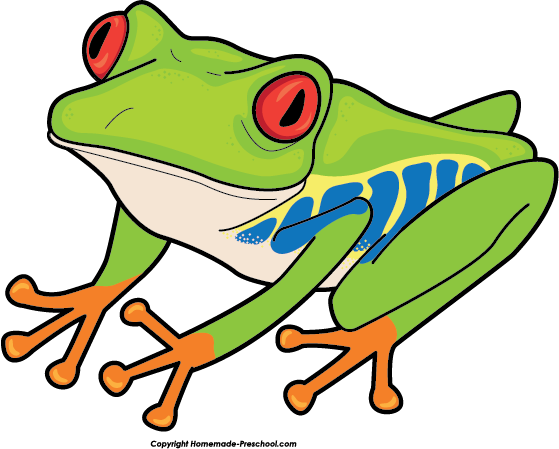 frog clipart rainforest