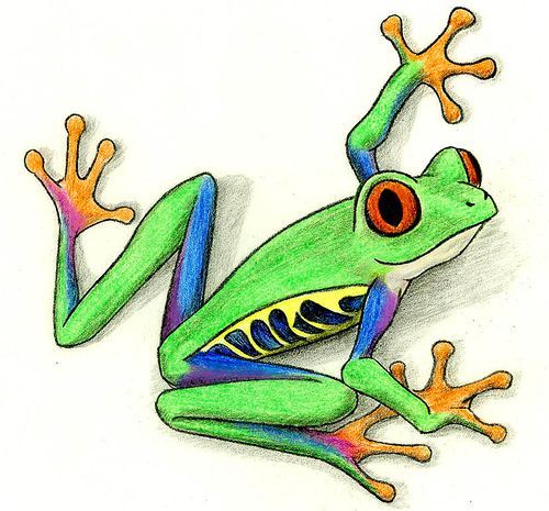 Tree frog clipart.