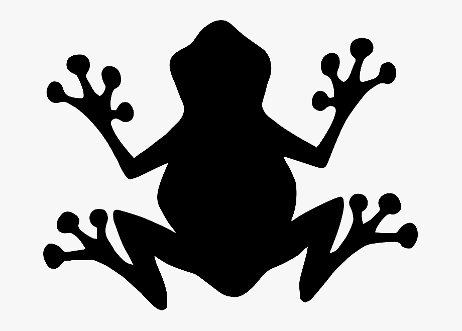 Tree frog silhouette.