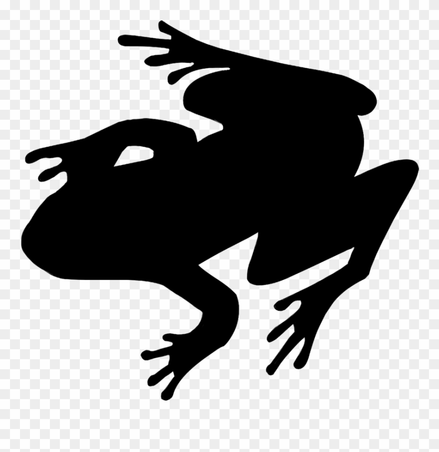 Frog silhouette frog.