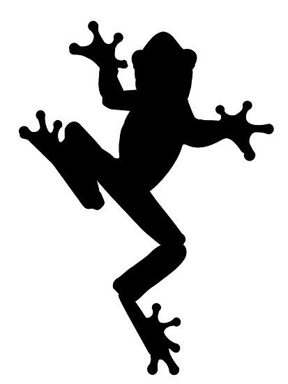 Frog shilouette frog.