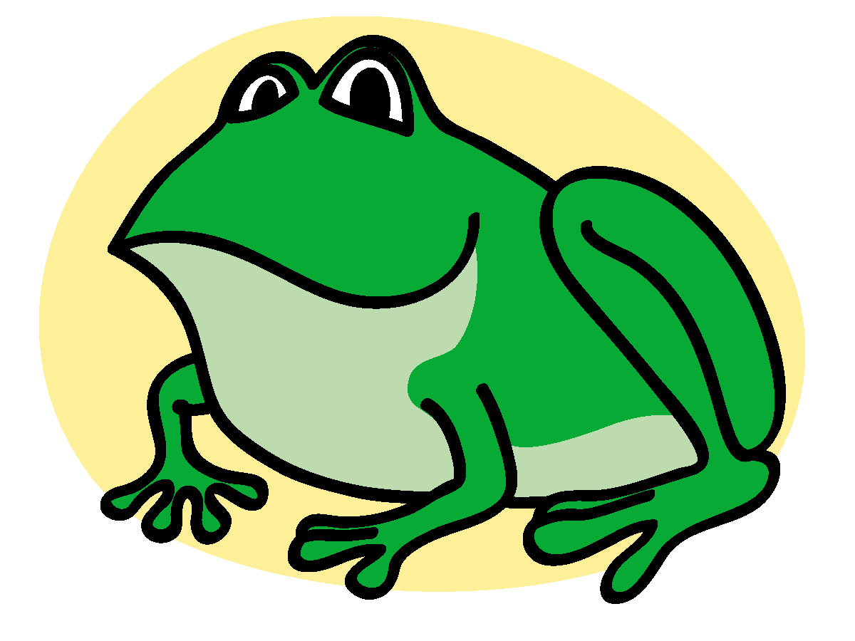 Free green frog.