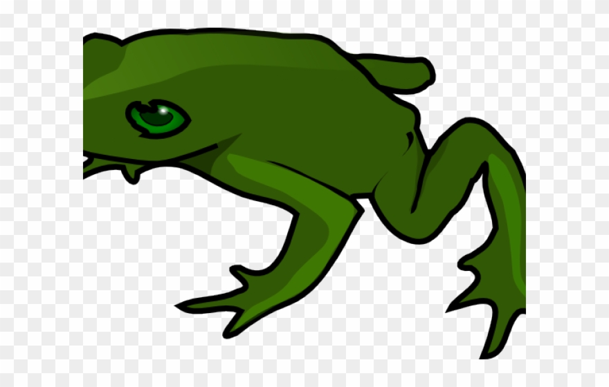 Green frog clipart.