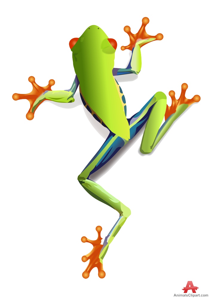 Free Tree Frog Cliparts, Download Free Clip Art, Free Clip