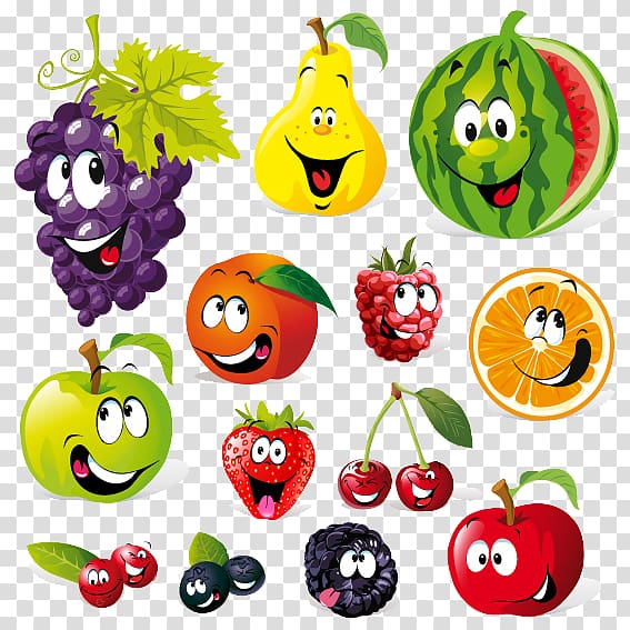 Assortedcolor fruits illustrations.