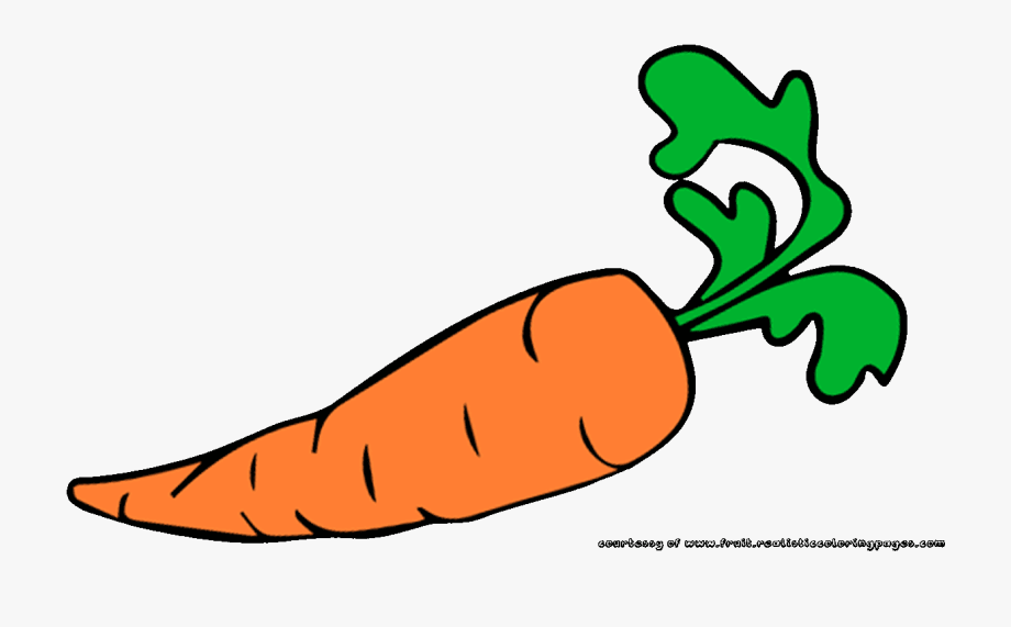 Carrot Clipart Fruit Name