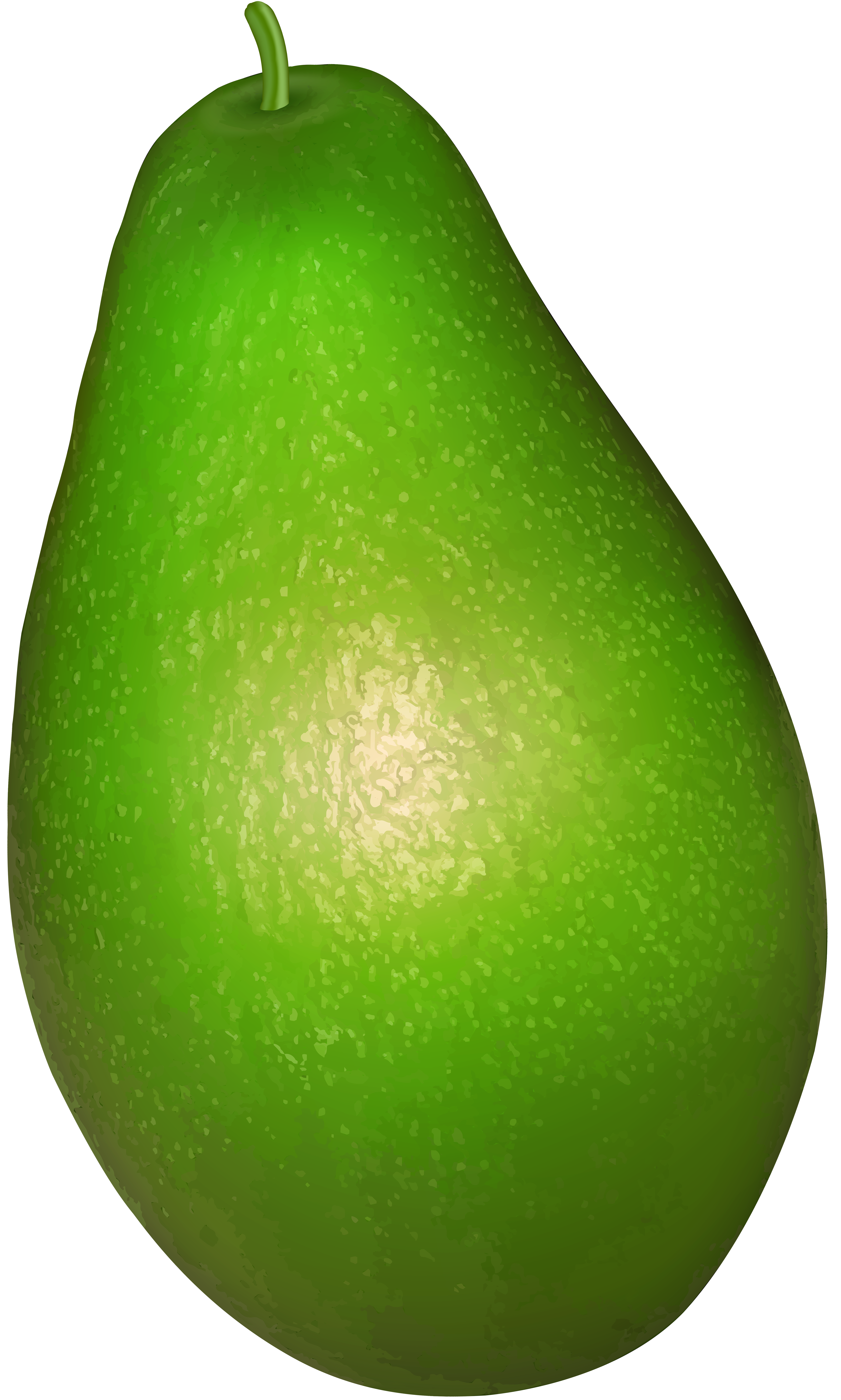 Avocado transparent png.